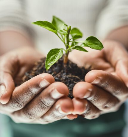 Heres,To,New,Beginnings.,Cropped,Shot,Of,An,Unrecognizable,Woman